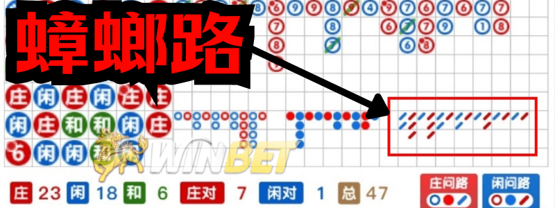 百家樂看路5:蟑螂路(甲由路)